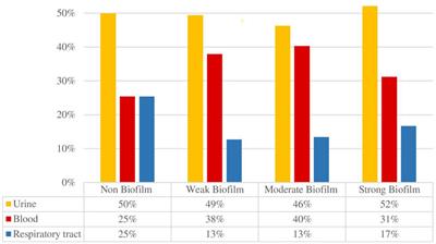 Correlation Between Antimicrobial Resistance, Virulence Determinants and Biofilm Formation Ability Among Extraintestinal Pathogenic Escherichia coli Strains Isolated in Catalonia, Spain